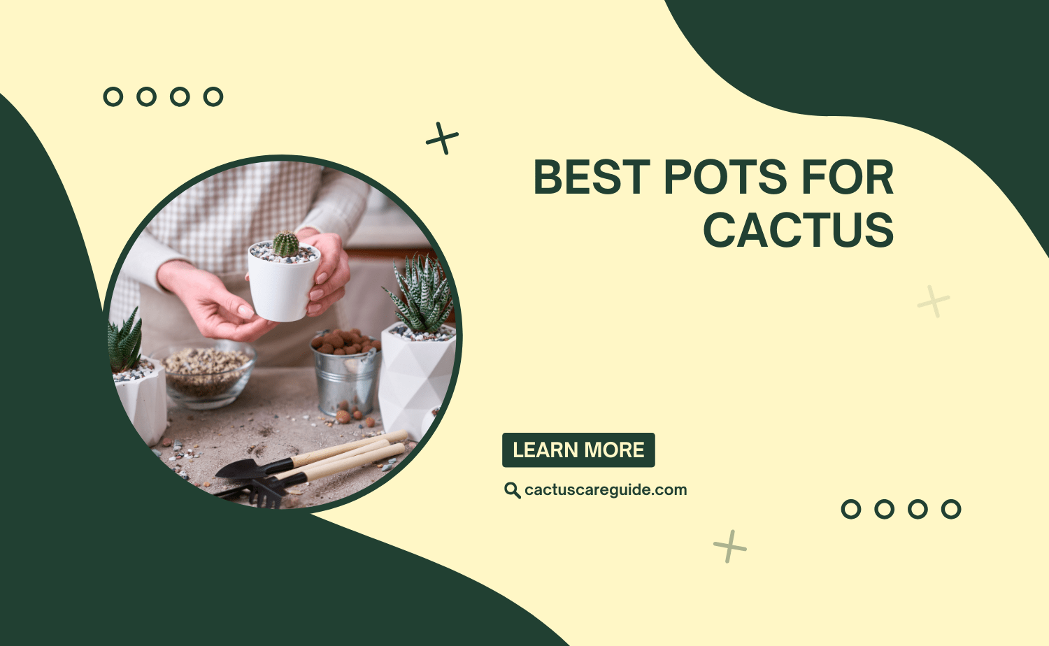 best pots for cactus